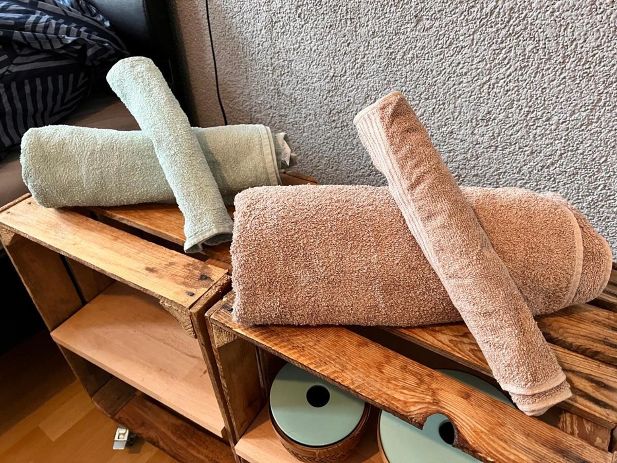 ドレスデンGemutliche Oase - Tv, Beamer, Kuche Fur 4 Personenアパートメント エクステリア 写真
